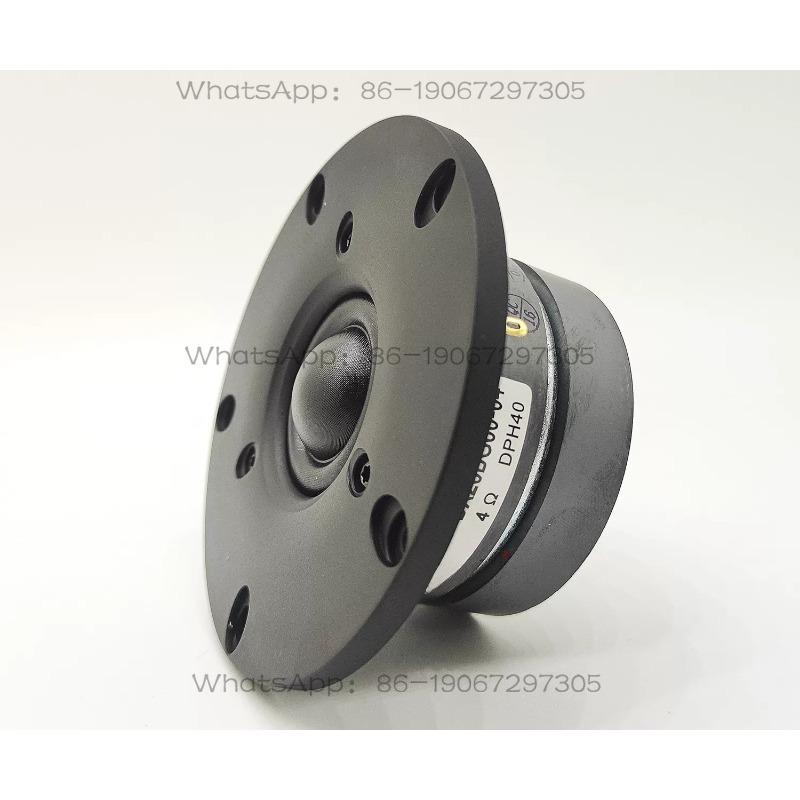 DX25BG60-04 Double Magnetic Wi - Tweeter 评论和价格