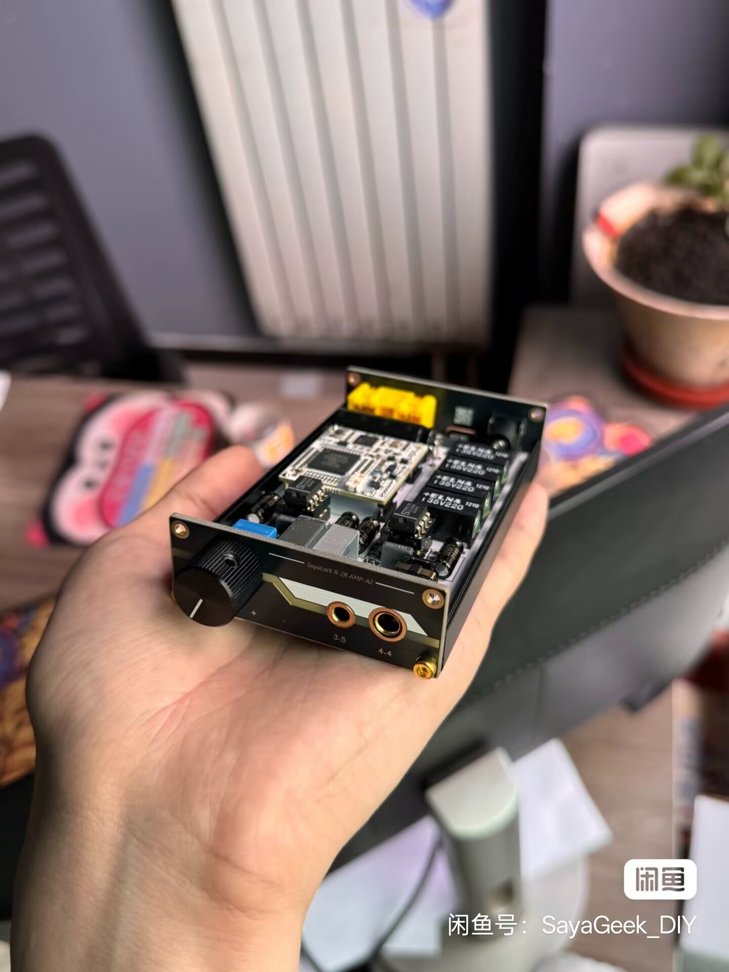 Portable R2R decoding headphon - Headphone Amplifier 评论和价格