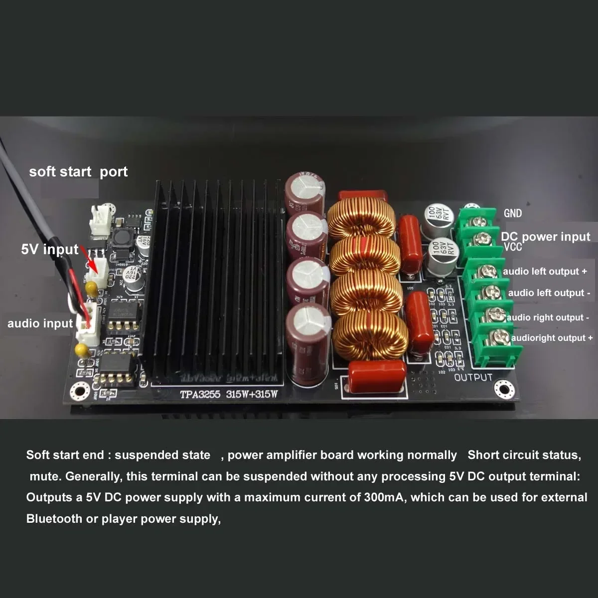 HiFi New Upgraded TPA3255 SAMP - Class D Amplifier 评论和价格