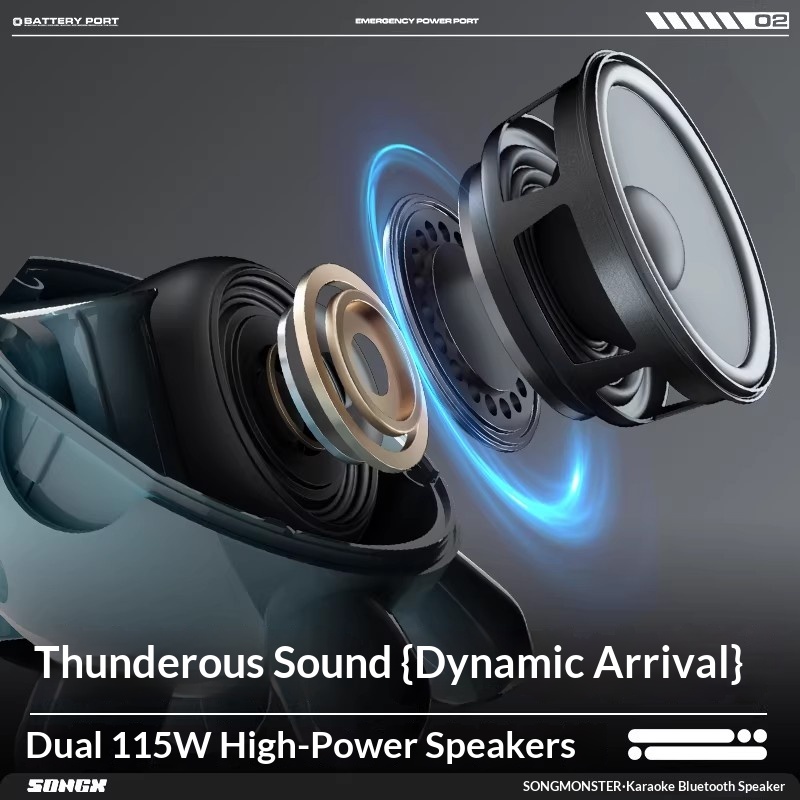 SONGX Audio Dual Microphone Du - Full Range Speaker 评论和价格
